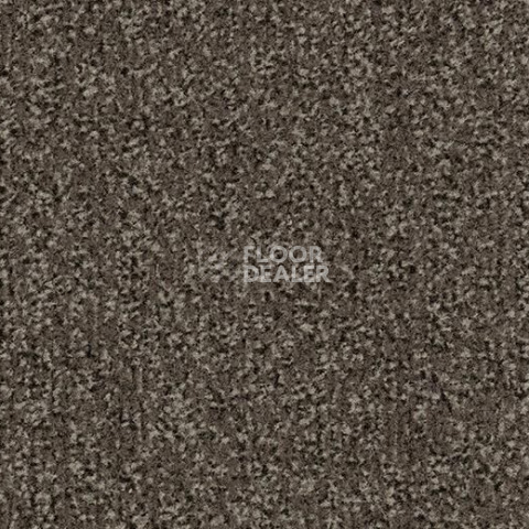 Грязезащитные покрытия Forbo Coral Classic 4764 Taupe фото 1 | FLOORDEALER